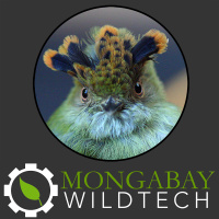 Tech solutions for conservation and a chat with Harvard researchers