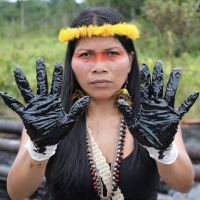 Ecuadorian environmentalists win historic vote for Yasuní National Park