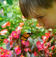 Reconnecting kids and ourselves to the planet with author Richard Louv