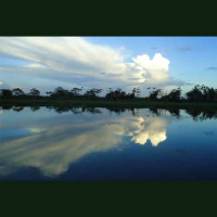 Reporter Sue Branford on journalism from the Amazon that makes a difference