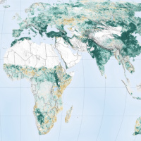 High CO2 levels are greening the world’s drylands, is that good news?