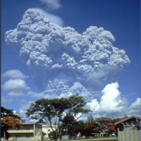 Mongabay Reports: Mt. Pinatubos eruption-proof mouse
