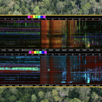 A bittersweet bioacoustics bonanza