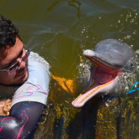 What can talkative river dolphins teach us about their marine relatives?
