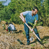 Reversing biodiversity loss requires ecological restoration