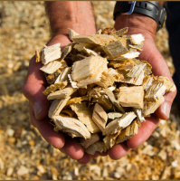 Climate solutions or delusions? Burning trees and damming rivers for energy, discussed