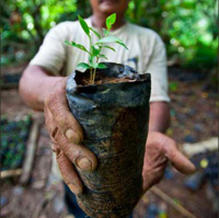 Paying for healthcare with a healthy rainforest