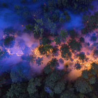 Mongabay Reports: Solutions abound for staying within this planetary boundary