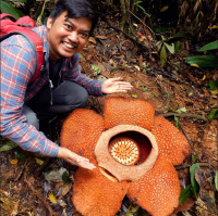 Mongabay Explores Sumatra: Solutions and optimism that drive conservation