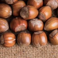 Mongabay Reports: Can climate-friendly agroforestry transform farming in the U.S. Midwest?