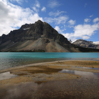 Whats unique about Canadas environment? The Narwhal brings top news and views