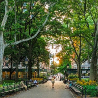 Finding nature in the city: urban ecology during lockdown and beyond