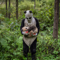 Top conservation photographer Ami Vitale discusses rhinos, pandas, hope and more