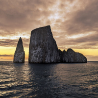 Alan Weisman’s ‘Hope Dies Last’ weaves stories of environmental hope