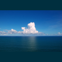 Carl Safina discusses marine conservation under a Trump administration, and Rhett Butler shares the origins of Mongabay