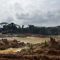 Why protected Congo rainforests look like a war zone