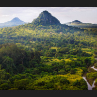 Celebrated author David Quammen on inspiring ecological restoration, evolutionary science, and more