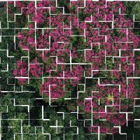 Can blockchain work with conservation?