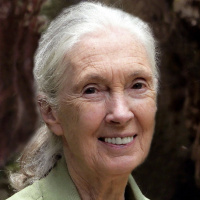 Jane Goodall on being proven right that animals have personalities, and more