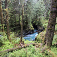 The rights of nature, legal personhood  other new ways laws can protect the planet