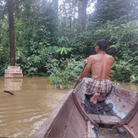 Development for whom? Indigenous communities left in the dark on hydropower plans in Borneo