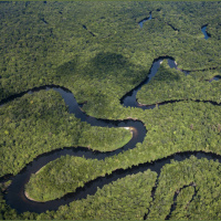 What do two giant land deals mean for the future of Southeast Asias forests?