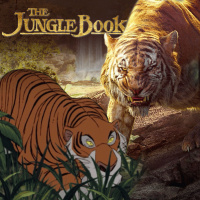 AZ 24 Libro de la Selva