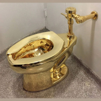 Stolen gold toilet