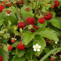 08 La storia di Angela