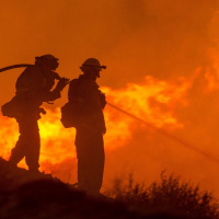 Tips for Fighting Fires in the Wildland-Urban Interface with Tom Aurnhammer
