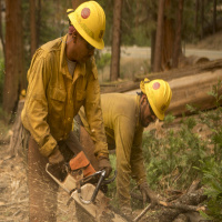 Are You Ready for Firefighting in the WUI? with Brian Fennessy