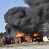 The Art of Reading Smoke with Phil Jose