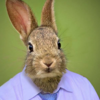 My Interview with the EASTER BUNNY