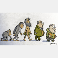 Unidad de vigilancia | El cerdo es el animal más maravilloso que ha creado la evolución humana