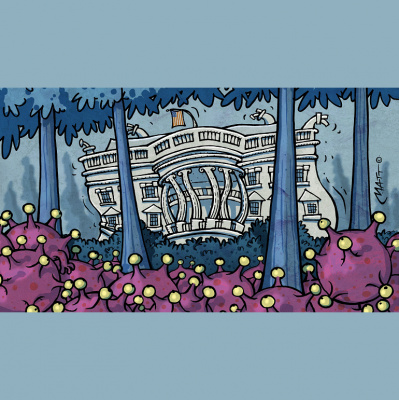 Unidad De Vigilancia