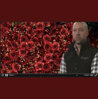 Se nomineringsfilmerna till guldgalan