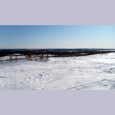 321ans Företagspodd