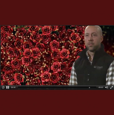 321ans Företagspodd