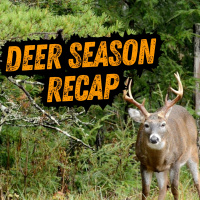 TW 419 - Deer Season Recap