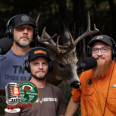 Tennessee Wildcast