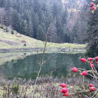 Gaza / Lieux de légendes / Trop dʹimages (4)