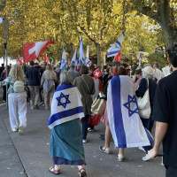 Mamdani / Gaza / Trop dʹimages