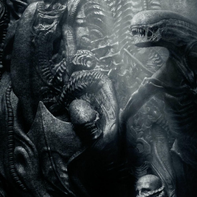 Anything But Qualified