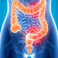 ¿Cuál es la relación que hay entre el intestino y el sistema inmunológico?