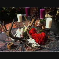 Convergence with John Carosella