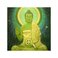 (r)Evolution with HiC