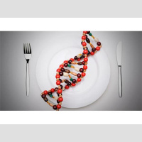 (r)Evolution with HiC