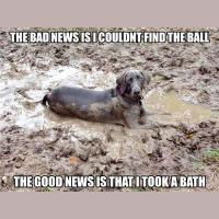 Convergence with John Carosella