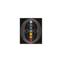 Evolve! with Robin White Turtle Lysne