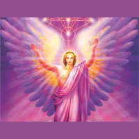 (r)Evolution with HiC Luttmers